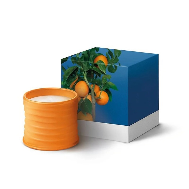 Home Fragrance Candles - 170g Large Size Aromatic Candle Orange