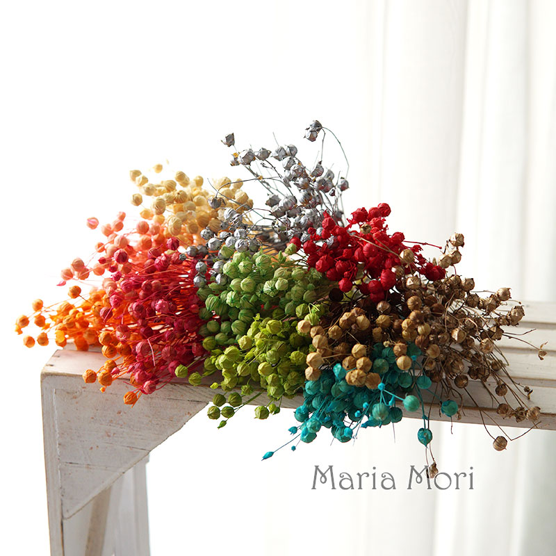 5g Preserved Flax Bean Natural - Home Fragrance Flowers ulasan dan harga