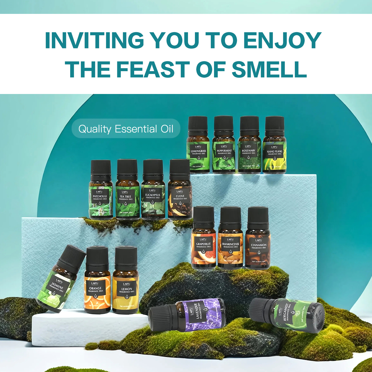 16x10ml Essential Oils Set for - Home Fragrance Candles ulasan dan harga