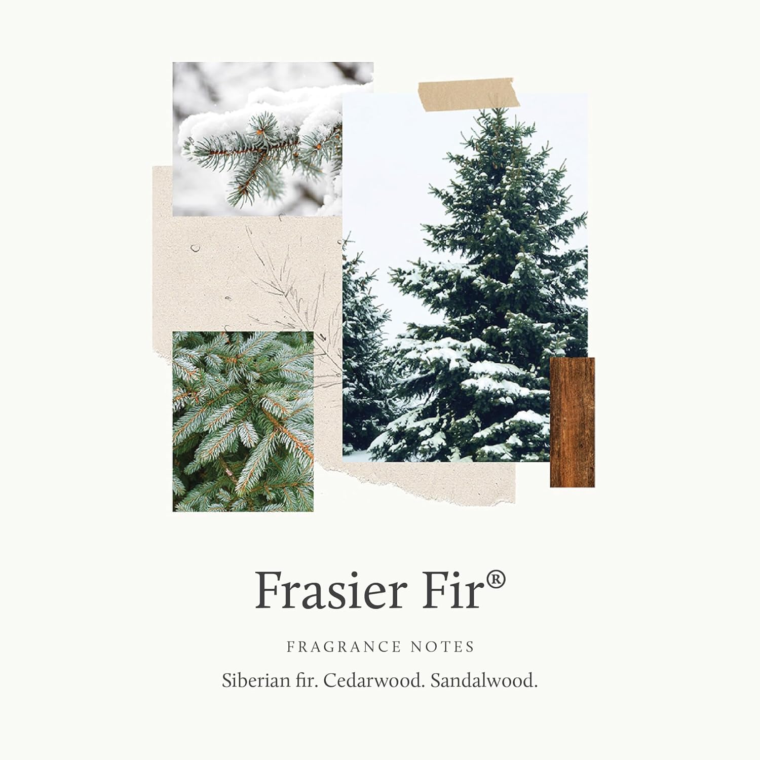 Frosted Plaid Fir Candle Set - - Home Fragrance Candles ulasan dan harga