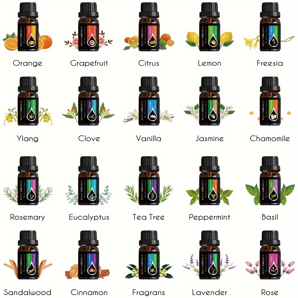 20Pcs/Set Classic Brand Essent - Fragrance Oil Set ulasan dan harga