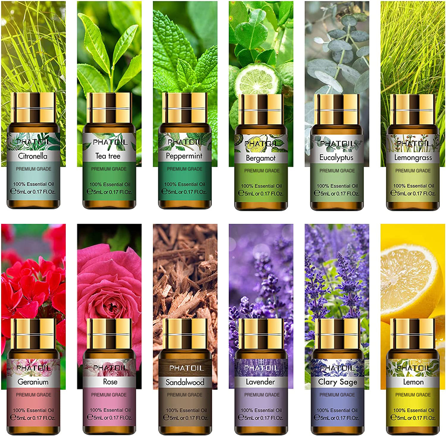 PHATOIL 12pcs Gift Box Pure Es - Home Fragrance Lemongrass ulasan dan harga